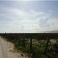 13203 Bermuda Beach Dr, Galveston, TX 77554 ID:825430