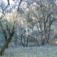 3677 Quail Ridge Dr, Mariposa, CA 95338 ID:3820827