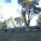 3677 Quail Ridge Dr, Mariposa, CA 95338 ID:3820828