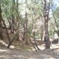 2408 Garcia Ct, Mariposa, CA 95338 ID:3820769