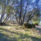 3667 Quail Ridge Dr, Mariposa, CA 95338 ID:3820807