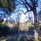 3667 Quail Ridge Dr, Mariposa, CA 95338 ID:3820809