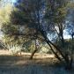 3667 Quail Ridge Dr, Mariposa, CA 95338 ID:3820810