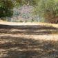 5340 Pietra, Mariposa, CA 95338 ID:3820779