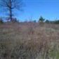 Lot 2A Ridgewood Lane, Harrisburg, AR 72432 ID:1171711