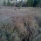 Lot 2A Ridgewood Lane, Harrisburg, AR 72432 ID:1171712