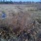 Lot 2A Ridgewood Lane, Harrisburg, AR 72432 ID:1171714