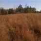 Lot 2A Ridgewood Lane, Harrisburg, AR 72432 ID:1171715