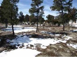 1575 Mainline, Heber, AZ 85928