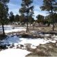 1575 Mainline, Heber, AZ 85928 ID:3226558