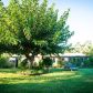 505 Vallerio Ave, Ojai, CA 93023 ID:1152219