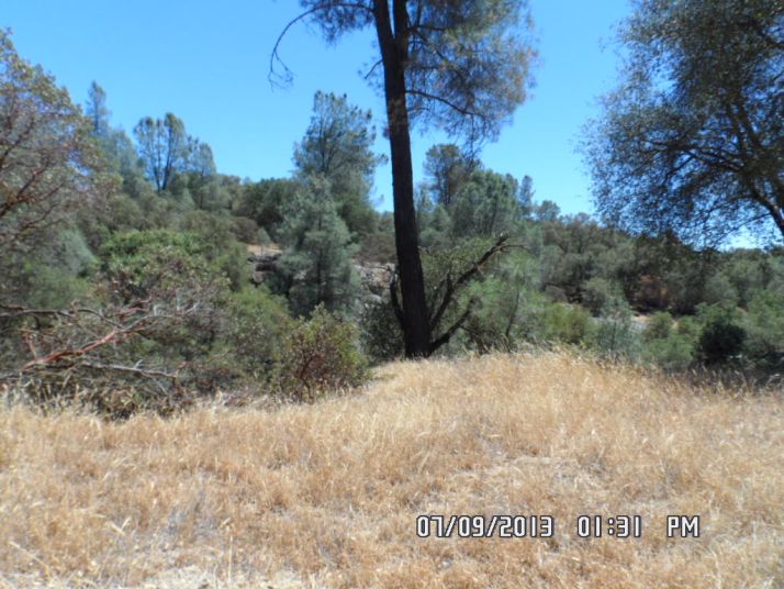 4232 Burl Drive, Mariposa, CA 95338