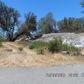 4232 Burl Drive, Mariposa, CA 95338 ID:3820841