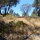 4232 Burl Drive, Mariposa, CA 95338 ID:3820844