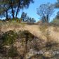 4232 Burl Drive, Mariposa, CA 95338 ID:3820845