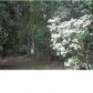 106 MARION WAY, Summerville, SC 29485 ID:1904868