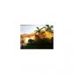 23923 SW 107 PL, Homestead, FL 33032 ID:600900