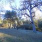 3918 Owl Creek Rd, Mariposa, CA 95338 ID:3820836