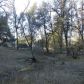 3918 Owl Creek Rd, Mariposa, CA 95338 ID:3820837