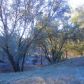 3918 Owl Creek Rd, Mariposa, CA 95338 ID:3820838