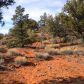 50 Granite Mountain Rd., Sedona, AZ 86351 ID:3228418