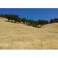 2682 Reid Lane, Clearlake, CA 95422 ID:3603131