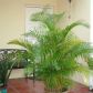 13916 SW 172 LN # 13916, Miami, FL 33177 ID:6182340