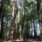 14670 Mitchell Creek Dr, Fort Bragg, CA 95437 ID:3595886