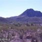 47800 N Kelley Road, New River, AZ 85087 ID:2800546