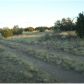 5018 Sidlyn Rd, Heber, AZ 85928 ID:3226566