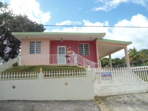 Lot 16 Principal St Gandara Ii Comm, Cidra, PR 00739