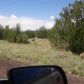 Lt 143,144,145 Show Low Pines, Show Low, AZ 85901 ID:1318578