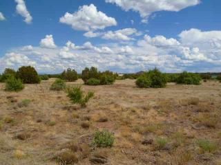 1959 Creekside Circle, Show Low, AZ 85901