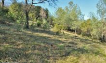 15094 Fickle Lake Lane Penn Valley, CA 95946