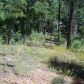 Lot 24 Starlight Ridge, Show Low, AZ 85901 ID:1318620