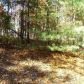 980 Raccoon Ridge Drive, Ranger, GA 30734 ID:3367976