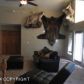 6991 E Squadron Circle, Wasilla, AK 99654 ID:6893326