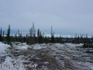 L9 B16 Snowshoe Road, Homer, AK 99603