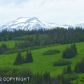 000 Ohlson Mountain Road, Homer, AK 99603 ID:6940850