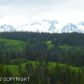 000 Ohlson Mountain Road, Homer, AK 99603 ID:6940851