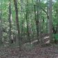 218 Morse Elm Loop, Waleska, GA 30183 ID:3134052