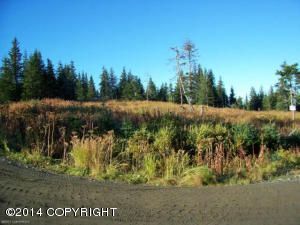 5875 Clearwater Drive, Homer, AK 99603