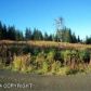 5875 Clearwater Drive, Homer, AK 99603 ID:6968443