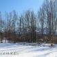 4788 E Crane Road, Wasilla, AK 99654 ID:6741724