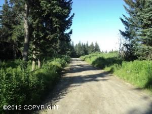 L4 Suchaview Road, Homer, AK 99603