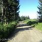 L4 Suchaview Road, Homer, AK 99603 ID:6968433