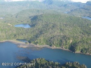 L2 Bear Cove, Homer, AK 99603