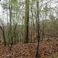 1900 Garland Mountain Trail, Waleska, GA 30183 ID:2894568