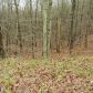 1900 Garland Mountain Trail, Waleska, GA 30183 ID:2894578