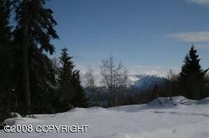 Lot 6 Mountain Glacier Court, Homer, AK 99603